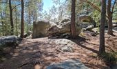 Tocht Stappen Fontainebleau - Fontainebleau sentier Denecourt 7 ouest prolongé  - Photo 18