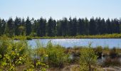 Tocht Te voet Fockbek - Rundweg Fockbeker Moor - Photo 3