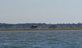 Randonnée Bateau à moteur Arcachon - Tour de l'île aux Oiseaux - Photo 9