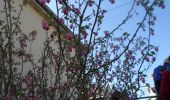 Trail Walking Saint-Pierre-des-Fleurs - 20220308-St Pierre des Fleurs - Photo 2