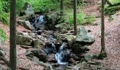 Randonnée Marche Spa - barisart . geronstere . creppe . barisart - Photo 11