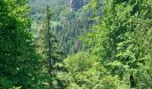 Tour Wandern Lembach - Lembach Les 4 Châteaux - Photo 3