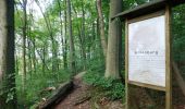 Randonnée A pied Bovenden - Rundwanderweg der Besinnung (UNO-Menschenrechtspfad) - Photo 7