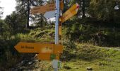 Tour Nordic Walking Arbaz - les grillèsse - Photo 3