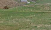 Percorso Marcia Theys - PINCERIE EN BOUCLE DEPUIS PIPAY - Photo 15