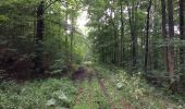 Tour Zu Fuß Bad Emstal - Rundwanderweg 