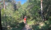 Trail Walking Estoublon - Lez elle - Photo 6