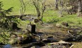 Tour Zu Fuß Kiefersfelden - Wanderweg 49 - Kiefersfelden - Photo 10