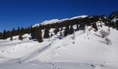 Tour Schneeschuhwandern Corrençon-en-Vercors - Vers le Pas Ernadant et ses cabanes - Photo 8