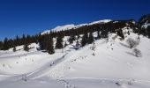 Percorso Racchette da neve Corrençon-en-Vercors - Vers le Pas Ernadant et ses cabanes - Photo 8