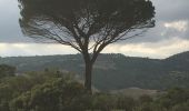 Tocht Stappen Assignan - Assignan - Notre-Dame de Nazareth - Photo 5