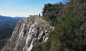 Tocht Mountainbike La Roquebrussanne - Barres de Cuers - Photo 1