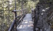 Trail Walking Guillestre - Risoul: Le Villaret   Peyre Haute - Photo 3
