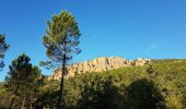 Tocht Stappen Bagnols-en-Forêt - BAGNOLS EN FORÊT - LES GORGES DU BLAVET - Photo 4