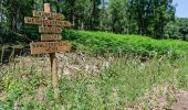 Trail On foot Brüggen - NSG Brachter Wald Wanderweg Weiß - Photo 4