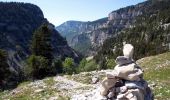 Excursión Senderismo Châtillon-en-Diois - Cirque d'Archiane - Les Hauts Plateaux du Vercors - Photo 20