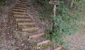 Trail Walking Le Chaffaut-Saint-Jurson - ESPINOUSSE . LES RAGOTS O L S - Photo 1