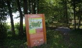 Trail Walking Sivry-Rance - Rance - Circuit Natura 2000, des sites qui valent le détour - Ht09 - Photo 10
