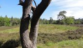 Tour Zu Fuß Steenwijkerland - WNW WaterReijk -Eeserveld/Willemsoord - groene route - Photo 7