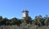 Percorso Mountainbike Flayosc -  Matourne  st Pierre tour de guet - Photo 2