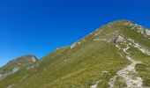 Randonnée Marche Samoëns - SAMOENS: LES ALLAMANDS - BOSTAN (CHALETS - REFUGE - COL  - TETE) - GOLESE - Photo 5