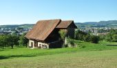 Tour Zu Fuß Baar - Steren-Unter Brunegg - Photo 3