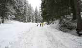 Percorso A piedi Primiero San Martino di Castrozza - Sentiero di Val Zanchetta - Photo 1