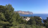 Excursión Senderismo Cassis - Sormiou -Port pin -  En Vau  - Photo 1