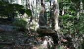 Tocht Stappen Beaumont-du-Ventoux - ventoux par les cretes - Photo 10