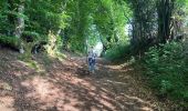 Trail  Saint-Brisson - Saint Brisson Morvan - Photo 10