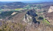 Trail Walking Saou - Saou : Le Petit Pomerolle 11km. - Photo 5