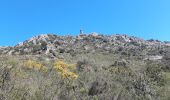 Trail Walking Collioure - MADELOC depuis col de la serra, via col formigo,  batterie 500, madeloc, col tellaferra  - Photo 12