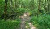 Trail Walking Villechauve - Villechauve 41310 - Photo 10