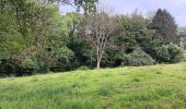Trail Walking Aywaille - Le tour de septroux - Photo 19