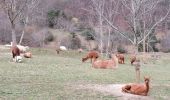 Tour Wandern Saint-Martin-de-la-Cluze - st Martin de la cluse 2023 - Photo 5