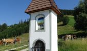 Tour Zu Fuß Kainach bei Voitsberg - Wanderweg 75 - Photo 1