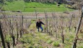 Trail Walking Vieux-Thann - Rando Marcheurs..27/03/2025.. - Photo 14