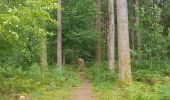 Trail Walking Camors - PR_56_Camors_AA_01_L-Etoile_Circuit1b_20200726 - Photo 3