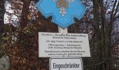 Trail On foot Escheburg - Escheburg - Friedrichsruh - (ES -FR) - Photo 4