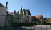 Tour Wandern Coteaux-sur-Loire - Saint-Michel-sur-Loire - GRP Coteaux de Bourgueil Saint-Patrice - 21.7km 240m 4h45 (35mn) - 2023 04 19 - Photo 1