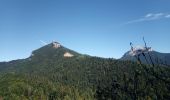 Randonnée Marche Proveysieux - Planfay_Aiguille de Quaix - Photo 8