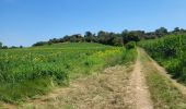 Trail Walking Gualta - Gualta 100725 - Photo 18