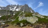 Trail Walking Chamonix-Mont-Blanc - Hôtel la Flégère - GR TMB - Lacs de Chéserys - Photo 5