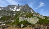 Tour Wandern Chamonix-Mont-Blanc - Hôtel la Flégère - GR TMB - Lacs de Chéserys - Photo 5