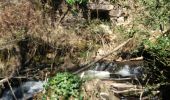 Trail Walking Chenailler-Mascheix - gorges de mémoire et cascade gourlastine - Photo 2