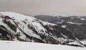 Tocht Sneeuwschoenen Roubion - cretes du countet AR - Photo 1