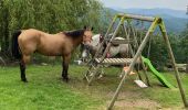 Tour Reiten Urbach - Fouday auberge du promont Tivio joyeux  - Photo 2