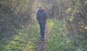 Excursión Senderismo Limbourg - Dolhain carrière  - Photo 1