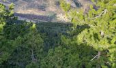 Tour Wandern Bédoin - COMBE DE MALAVAL - Photo 4