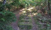 Trail On foot Guxhagen - Söhrewald-Wattenbach, Rundweg 42 - Photo 5